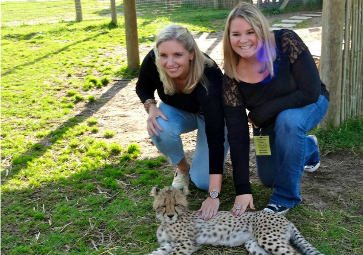 Cheetah Sanctuary, South Africa